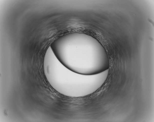 X0000096451109200801241134