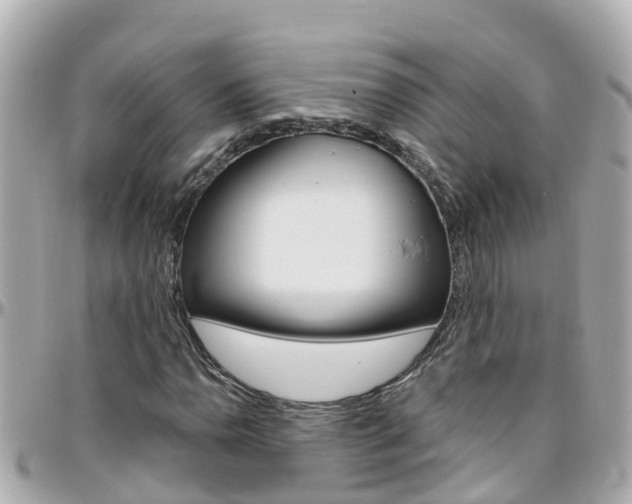 X0000096451110200801241134