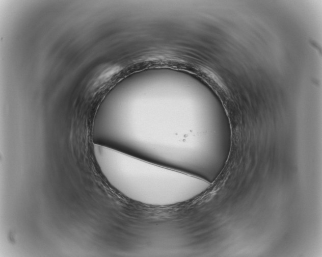 X0000096451111200801241134