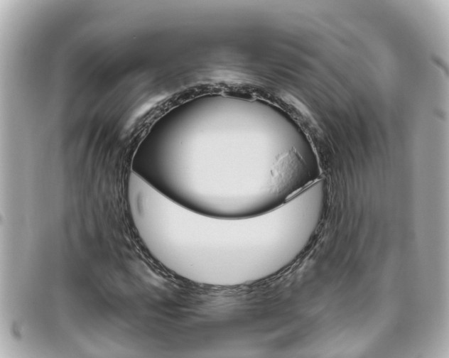 X0000096451112200801241134
