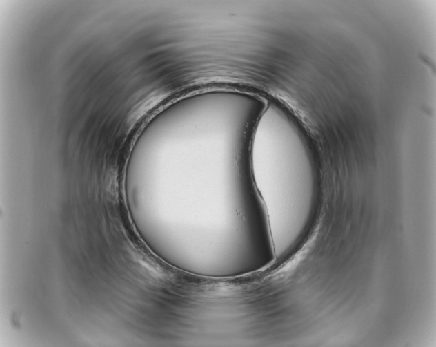 X0000096451113200801241134