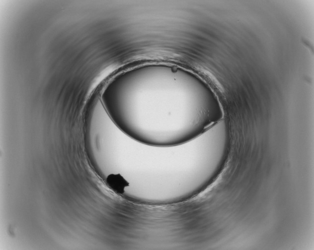 X0000096451114200801241134