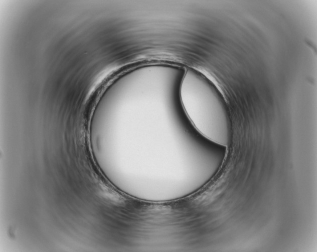 X0000096451115200801241134