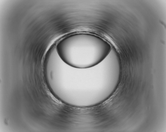 X0000096451116200801241134