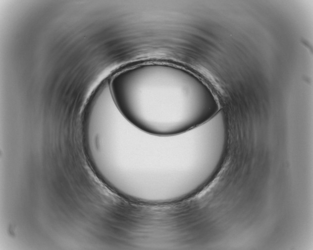 X0000096451118200801241134