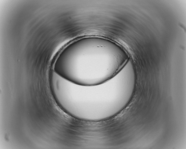 X0000096451120200801241134