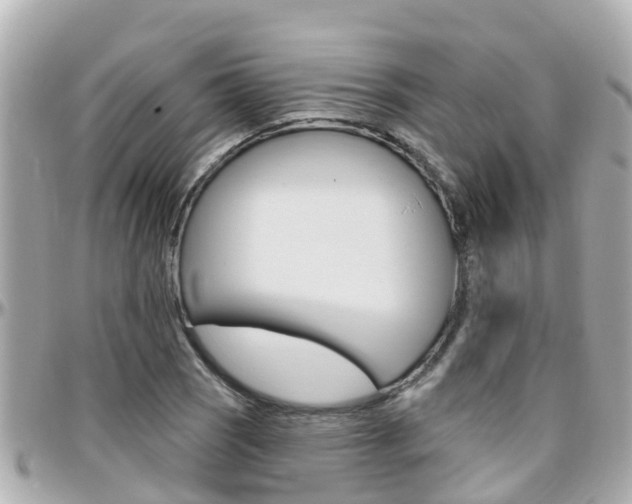 X0000096451121200801241134