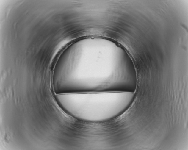X0000096451123200801241134