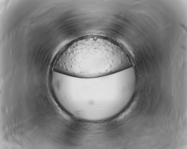 X0000096451125200801241134