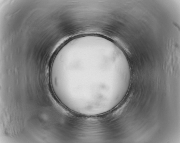 X0000096451126200801241134