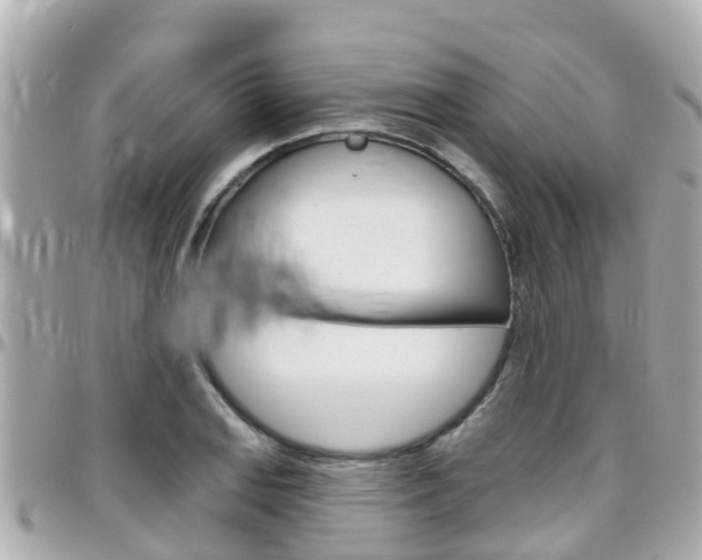 X0000096451127200801241134