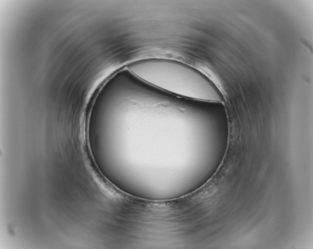 X0000096451128200801241134