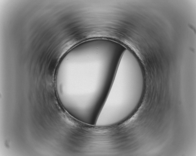 X0000096451129200801241134