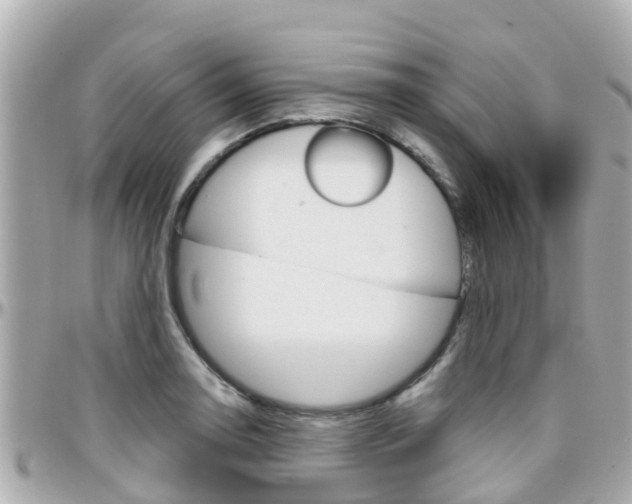 X0000096451130200801241134