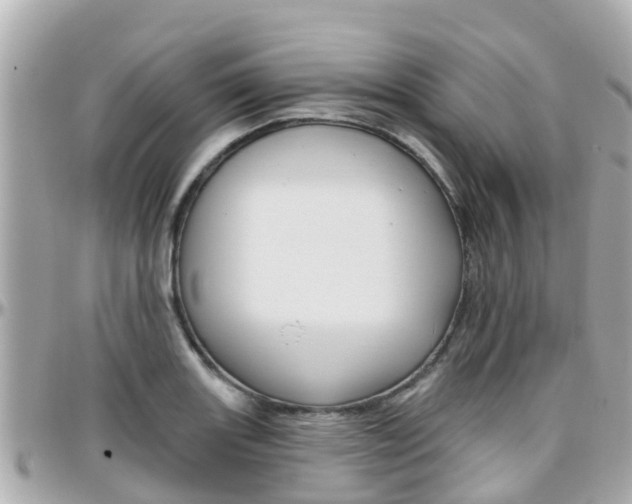 X0000096451131200801241134