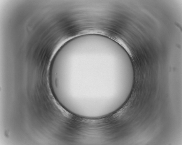 X0000096451132200801241134