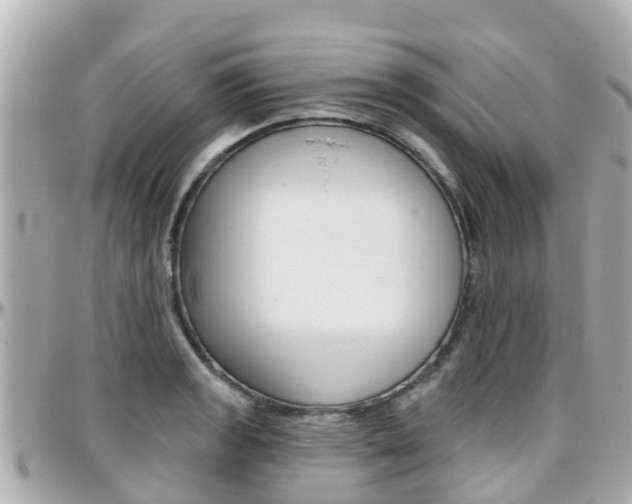 X0000096451133200801241134