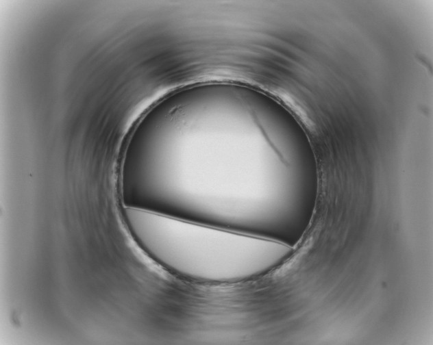 X0000096451134200801241134