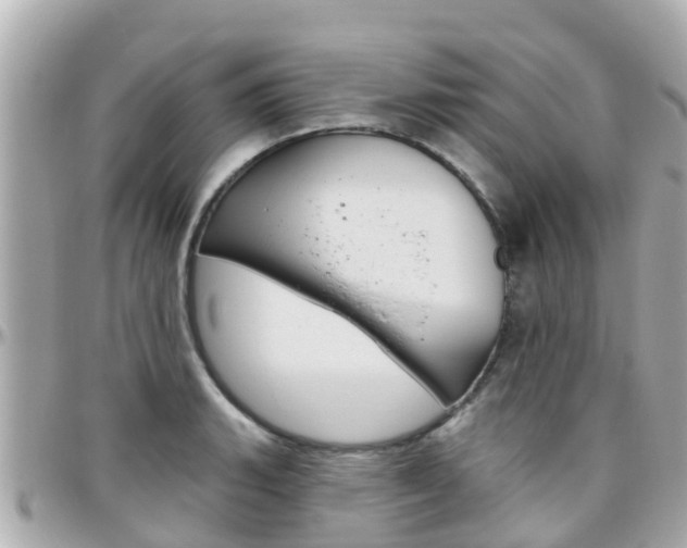 X0000096451135200801241134