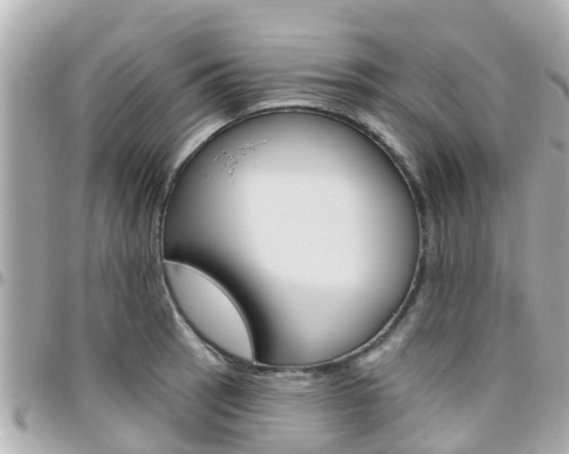 X0000096451137200801241134