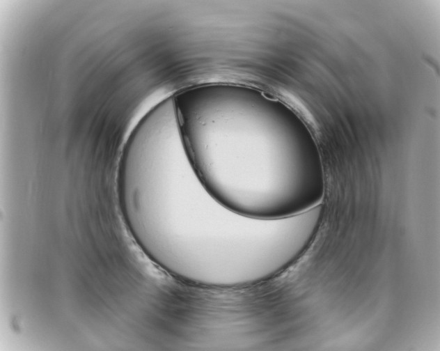 X0000096451138200801241134