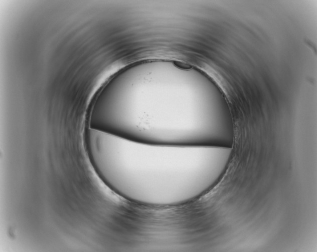 X0000096451139200801241134