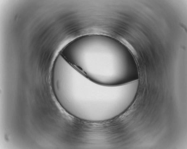 X0000096451144200801241134