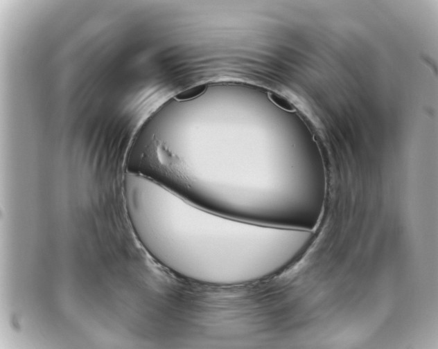 X0000096451145200801241134