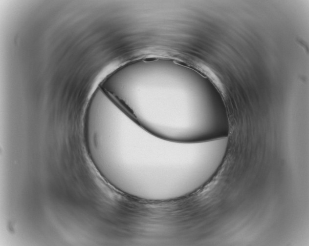 X0000096451146200801241134