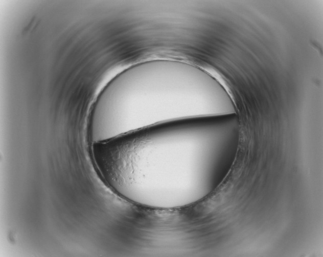 X0000096451147200801241134