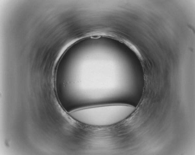 X0000096451148200801241134