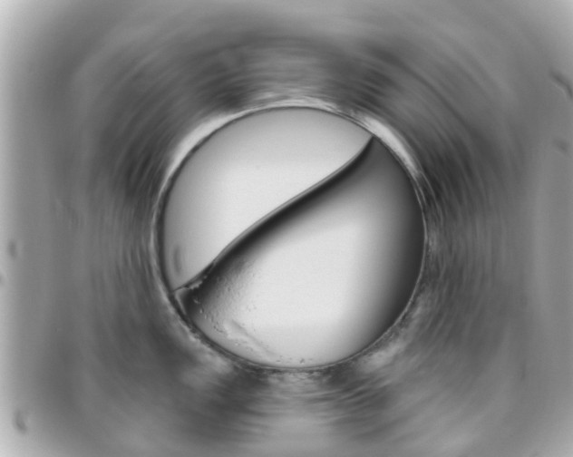 X0000096451149200801241134