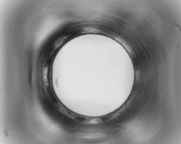 X0000096451150200801241134
