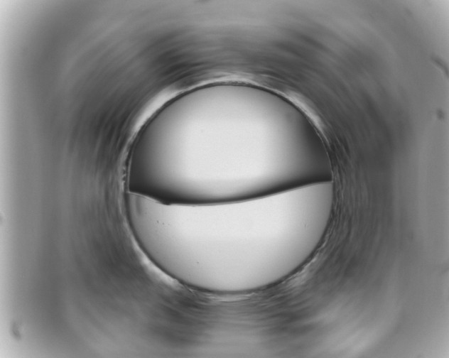 X0000096451151200801241135