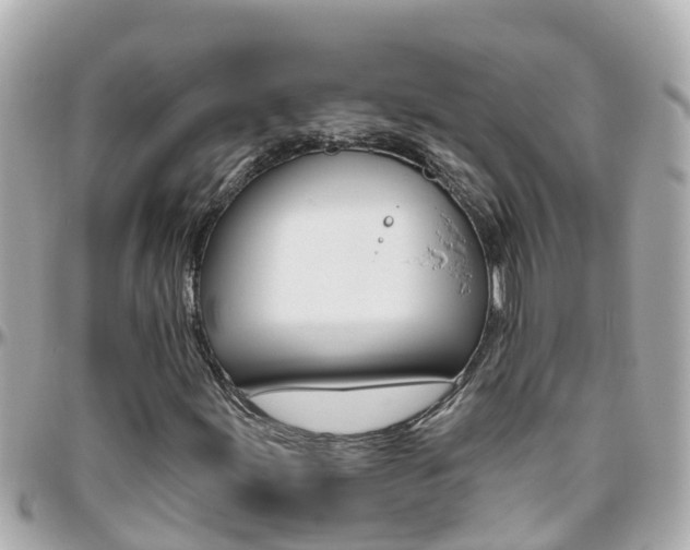 X0000096451155200801241134
