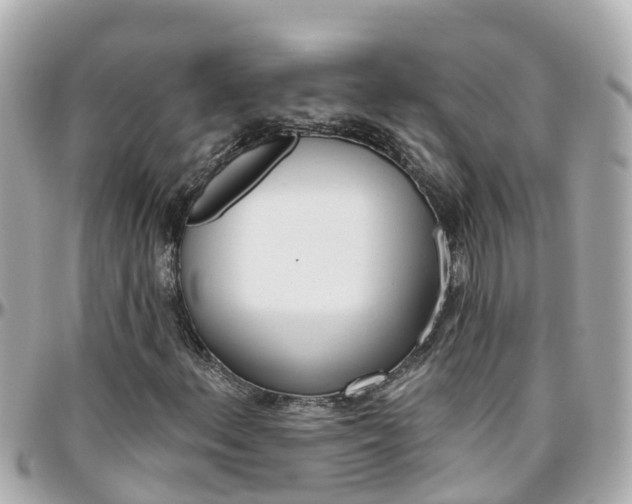 X0000096451156200801241134