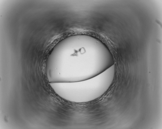 X0000096451157200801241134