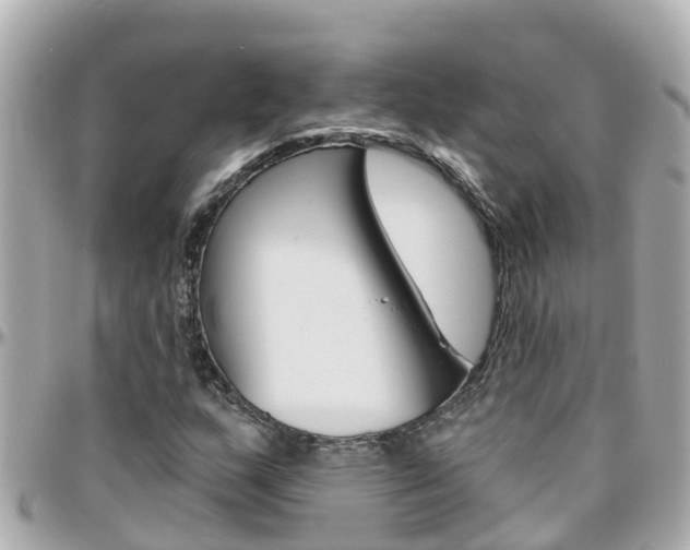 X0000096451159200801241134