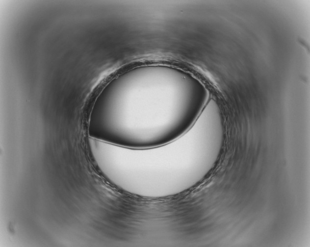 X0000096451160200801241134