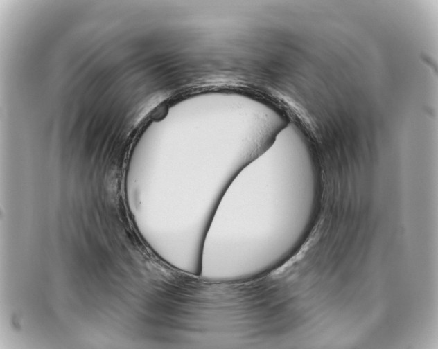 X0000096451162200801241134