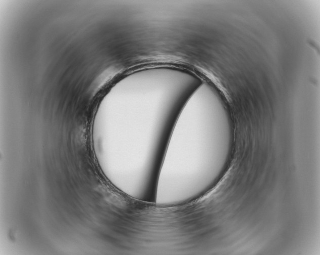 X0000096451163200801241134