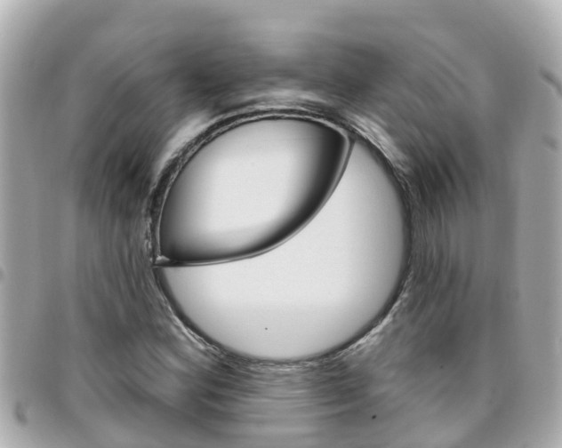 X0000096451164200801241134