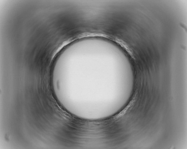 X0000096451165200801241134