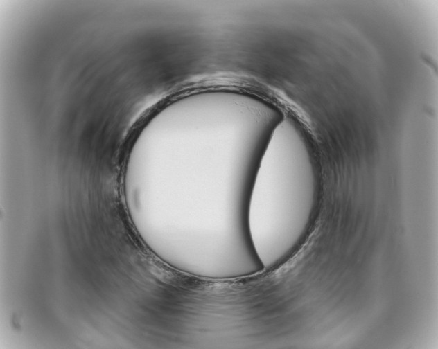 X0000096451166200801241134