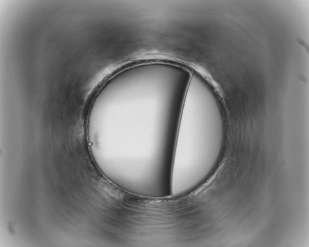 X0000096451167200801241134