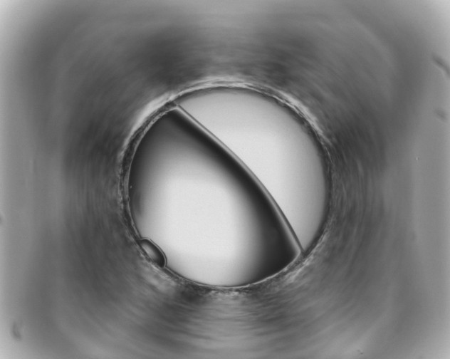 X0000096451168200801241133