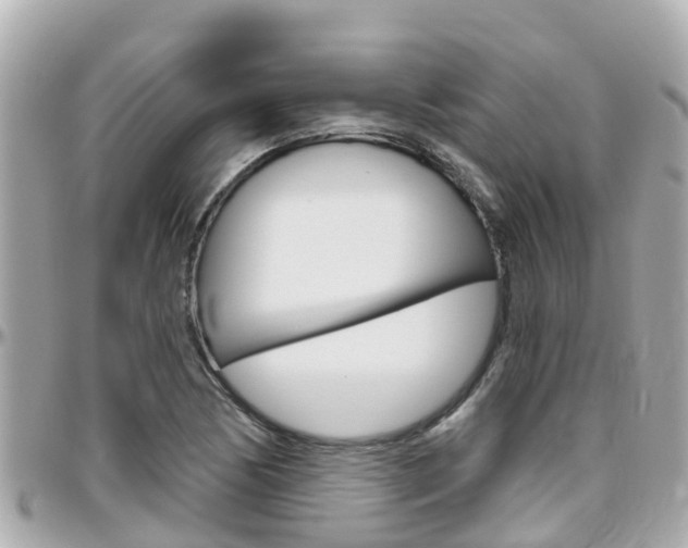 X0000096451170200801241133