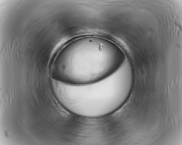 X0000096451172200801241133