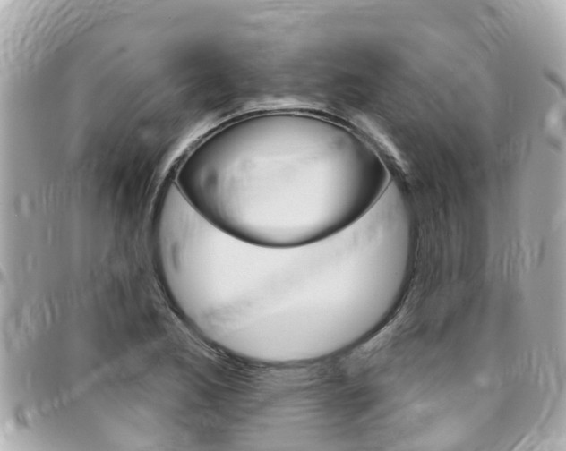 X0000096451173200801241133