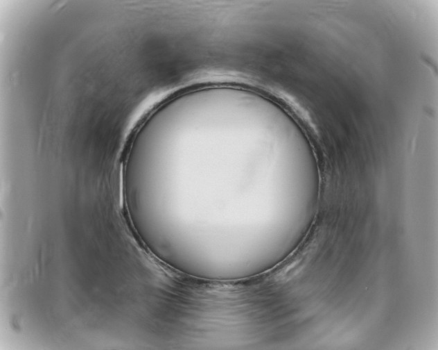 X0000096451175200801241133
